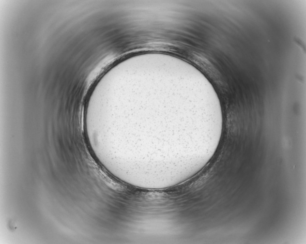 X0000101431180200807280954