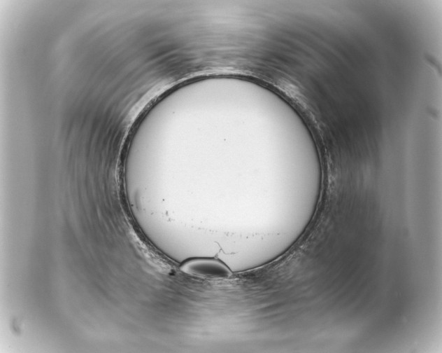 X0000101431181200807280954