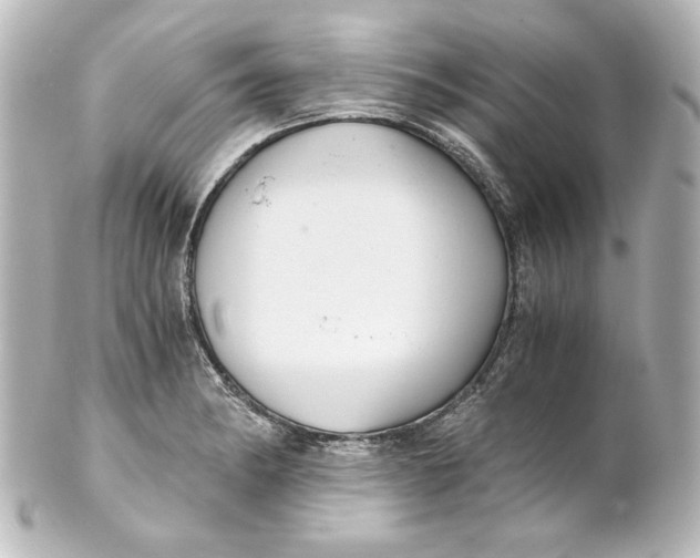 X0000101431182200807280954