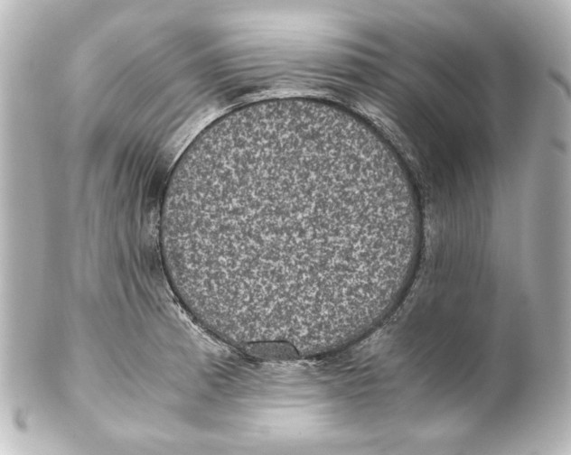 X0000101431185200807280954