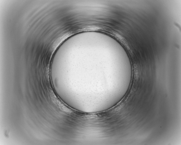 X0000101431186200807280954