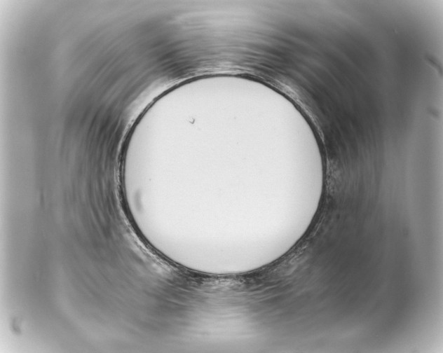 X0000101431187200807280954