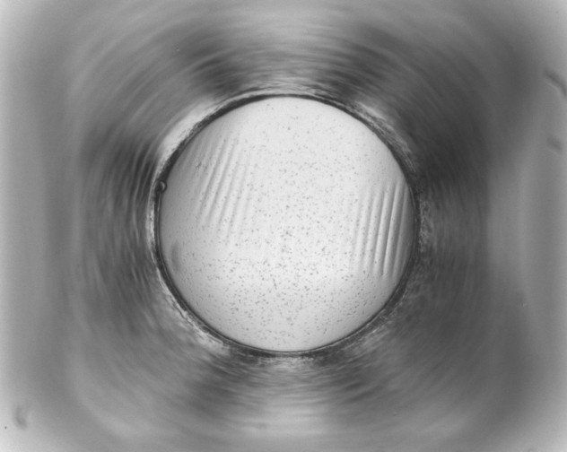 X0000101431188200807280954