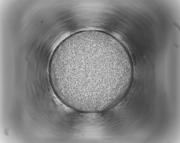 X0000101431189200807280954