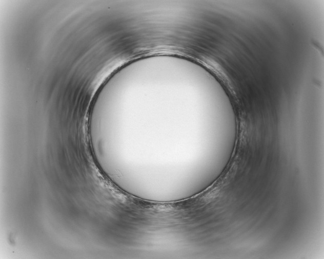 X0000101431190200807280954