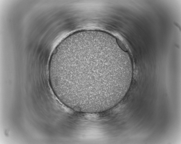 X0000101431191200807280953