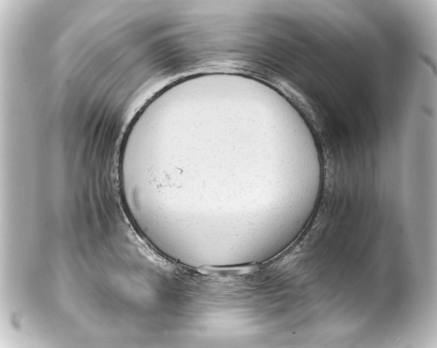 X0000101431192200807280953