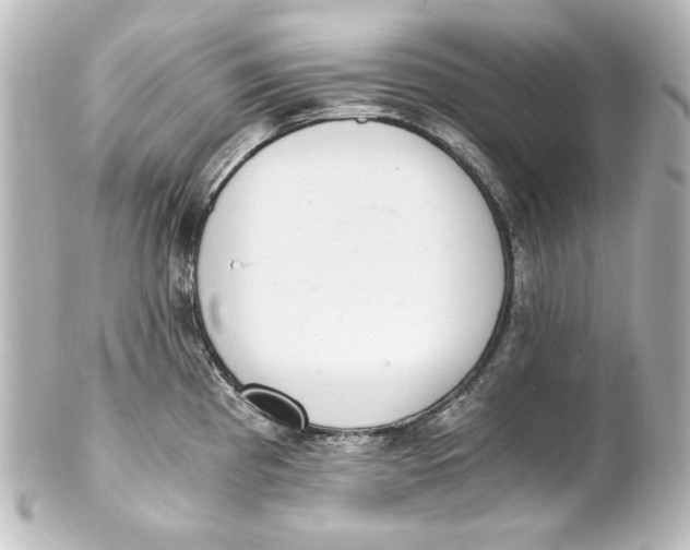 X0000101431193200807280953