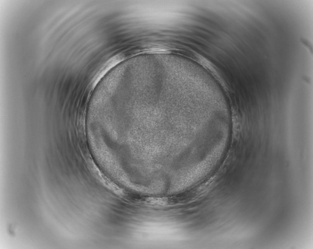 X0000101431194200807280953