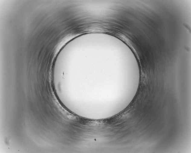 X0000101431195200807280953