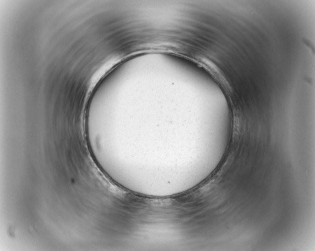 X0000101431196200807280953