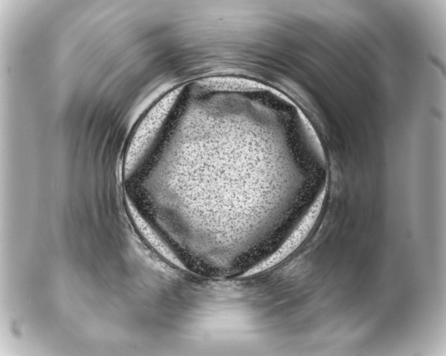 X0000101431198200807280953