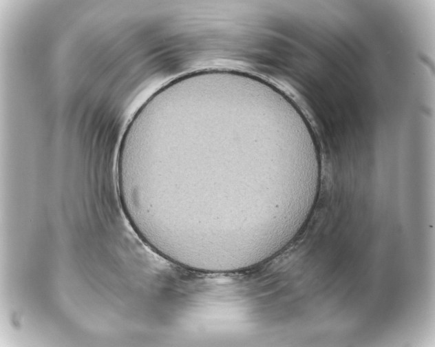 X0000101431199200807280953