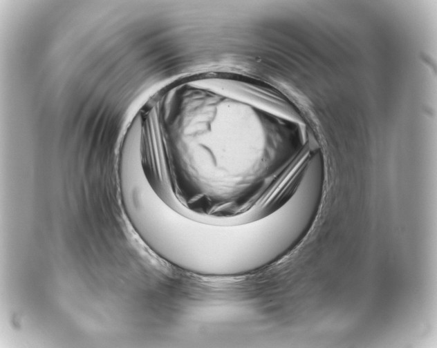 X0000101431200200807280953