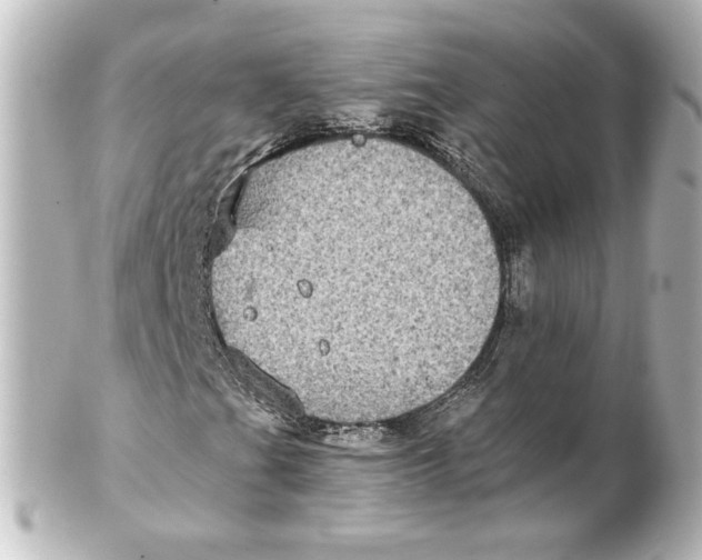 X0000101431201200807280953