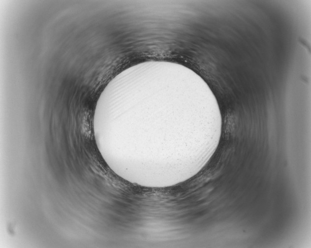 X0000101431202200807280953