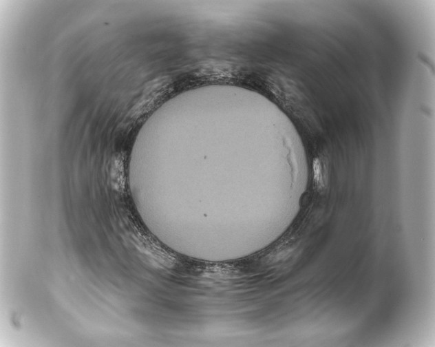 X0000101431203200807280953