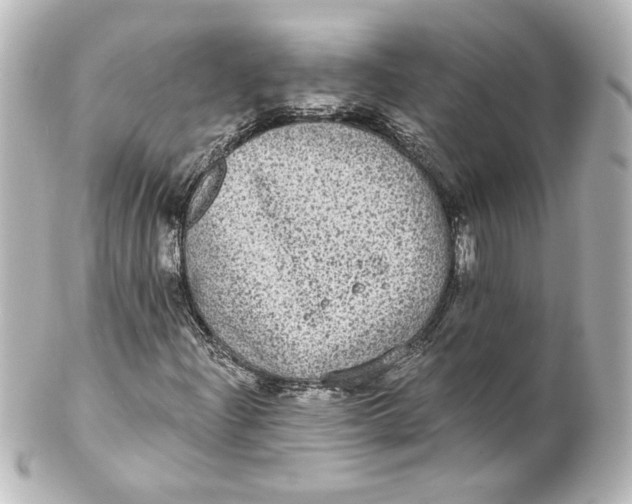 X0000101431204200807280953