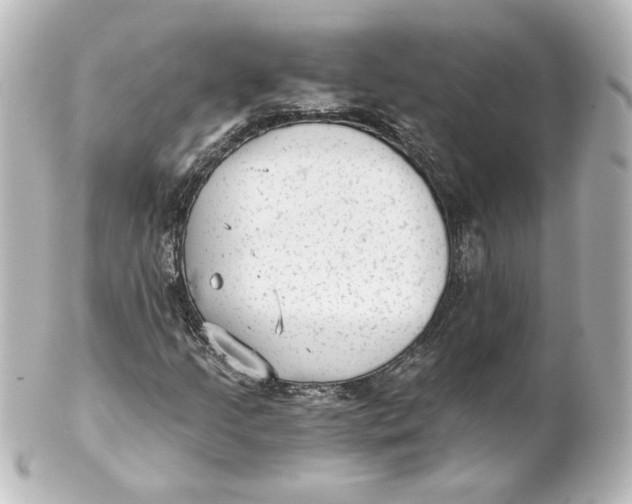 X0000101431205200807280953