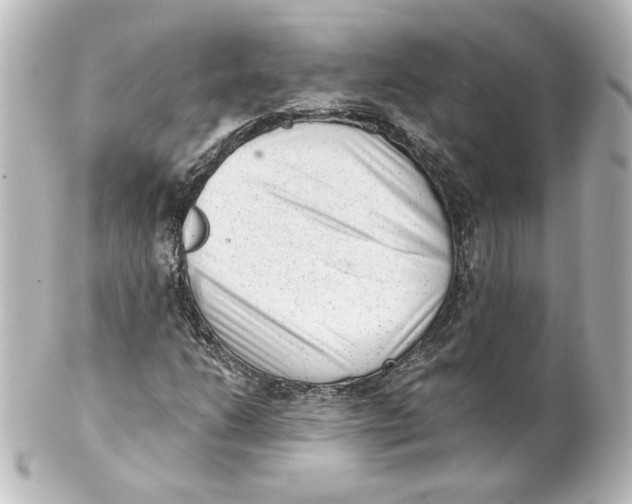 X0000101431206200807280953