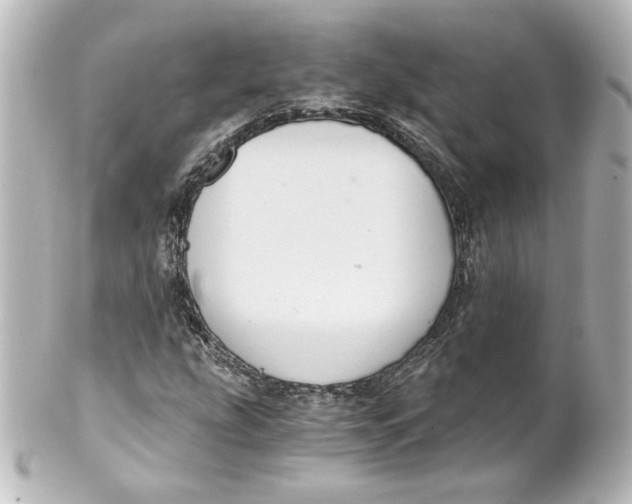 X0000101431207200807280953