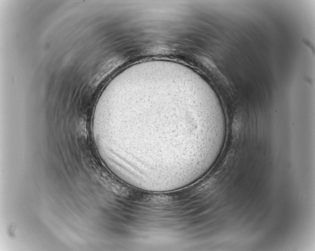 X0000101431209200807280953