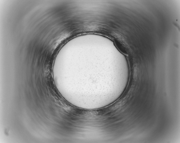 X0000101431210200807280953