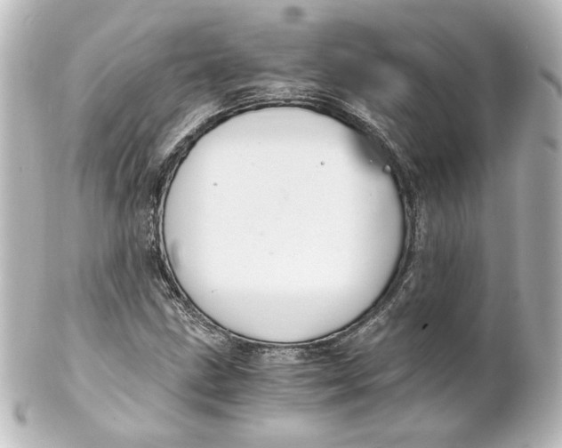 X0000101431211200807280953