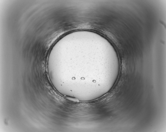 X0000101431212200807280953