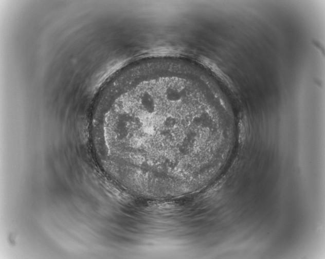 X0000101431213200807280953