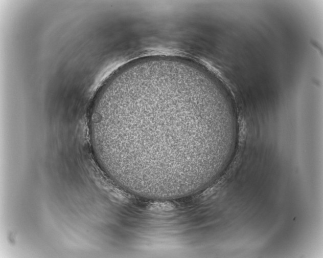 X0000101431215200807280953