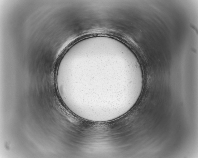 X0000101431216200807280953