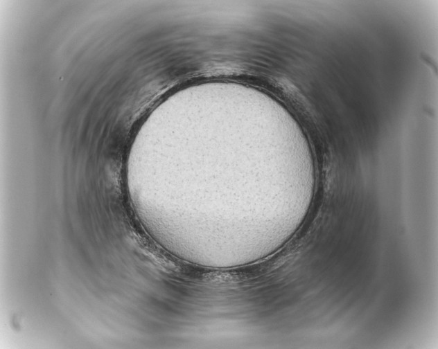 X0000101431217200807280953