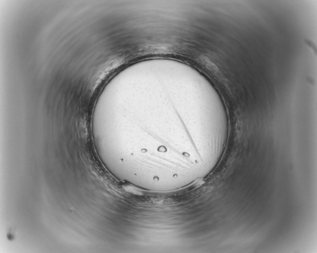 X0000101431218200807280953