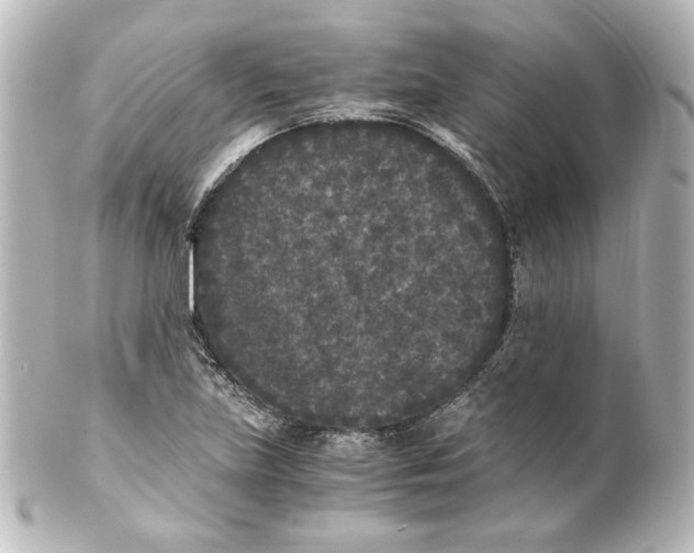 X0000101431219200807280953