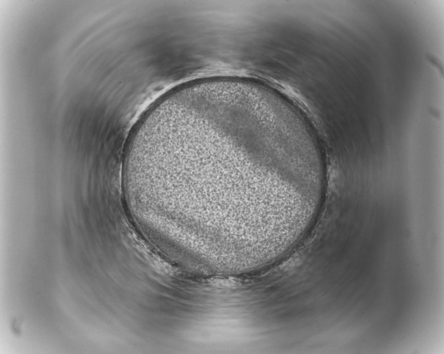 X0000101431220200807280953