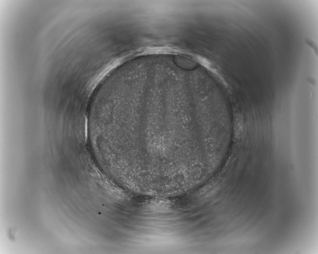 X0000101431221200807280953