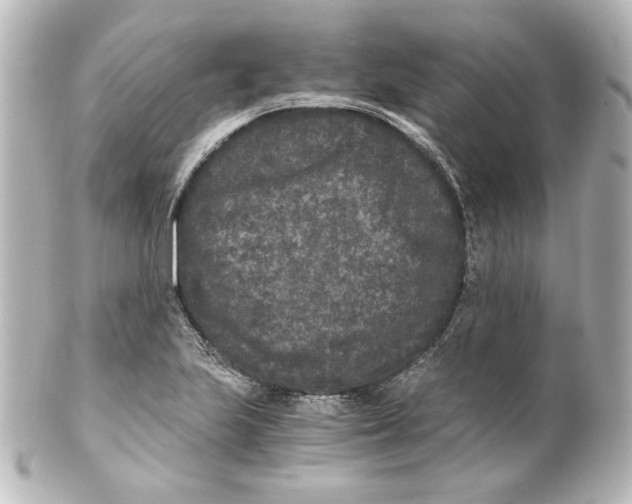 X0000101431223200807280953