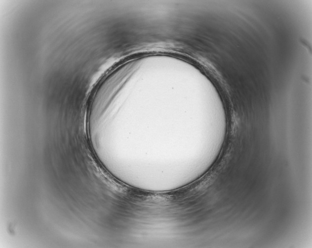 X0000101431224200807280953