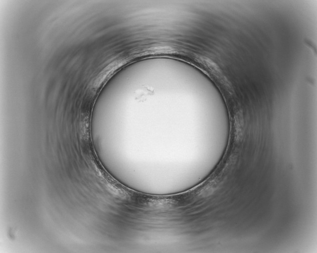 X0000101431225200807280953