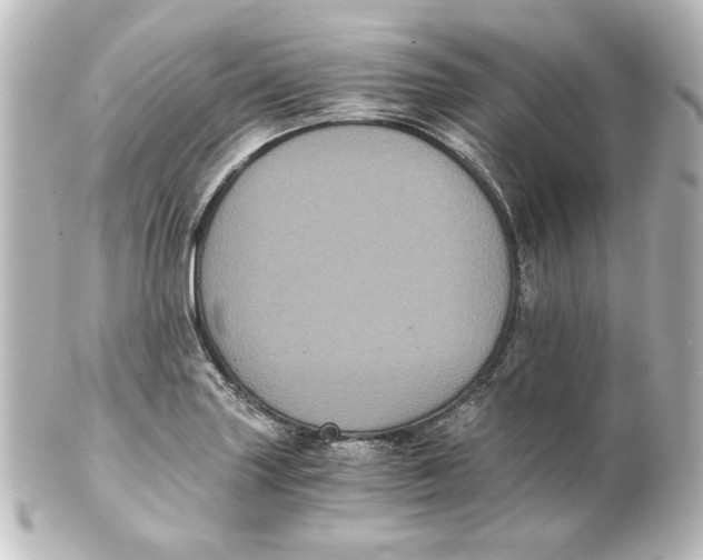 X0000101431227200807280953