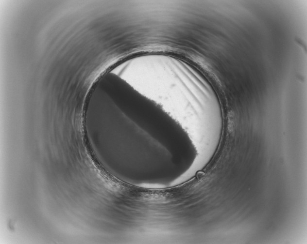 X0000101431229200807280953