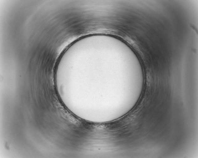 X0000101431230200807280953