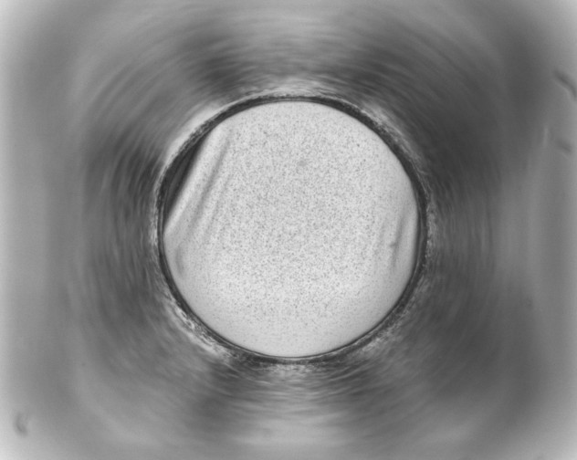 X0000101431232200807280953