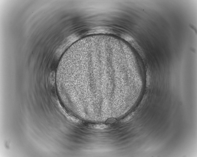 X0000101431233200807280953