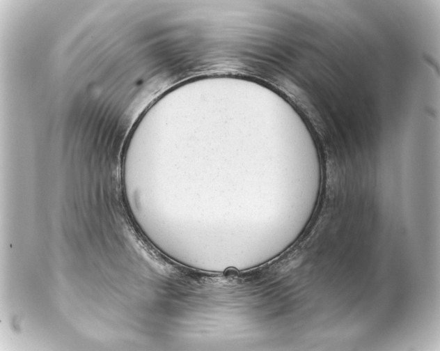 X0000101431234200807280953