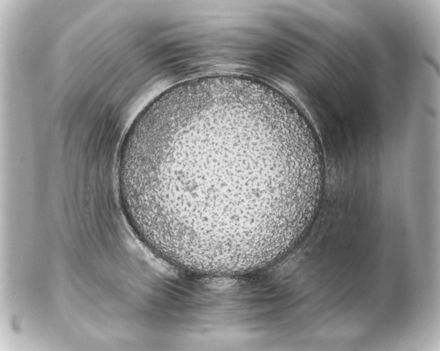 X0000101431235200807280953