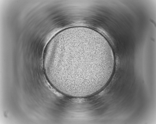 X0000101431236200807280953