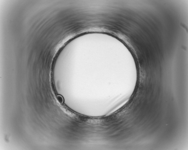 X0000101431237200807280953