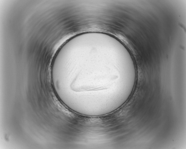 X0000101431238200807280953